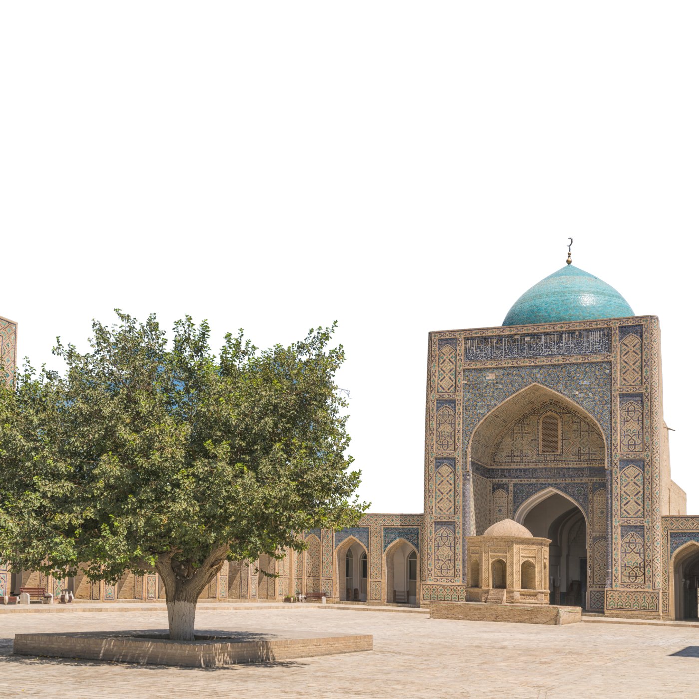Lote tree in a mosque courtyard